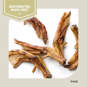 Raw Performance Dehydrated Duck Feet