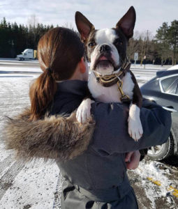 Dog in woman's arms