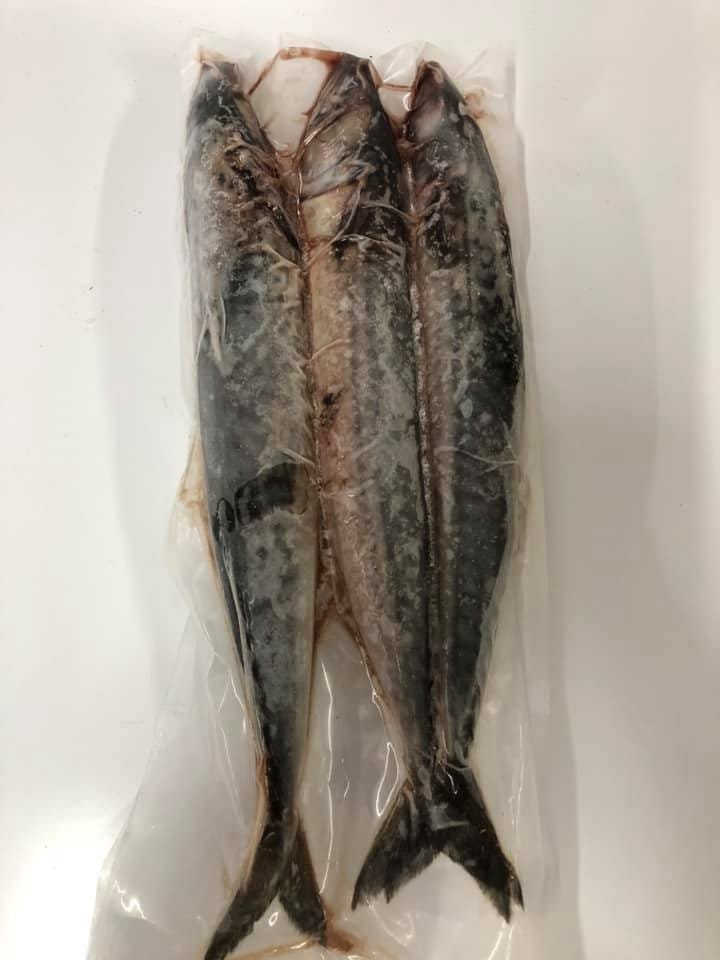 Whole Mackerel Fish Raw Pet Food Ontario