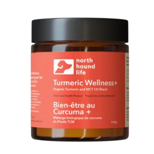 Turmeric Wellness+