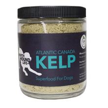 Atlantic Canada Kelp Powder