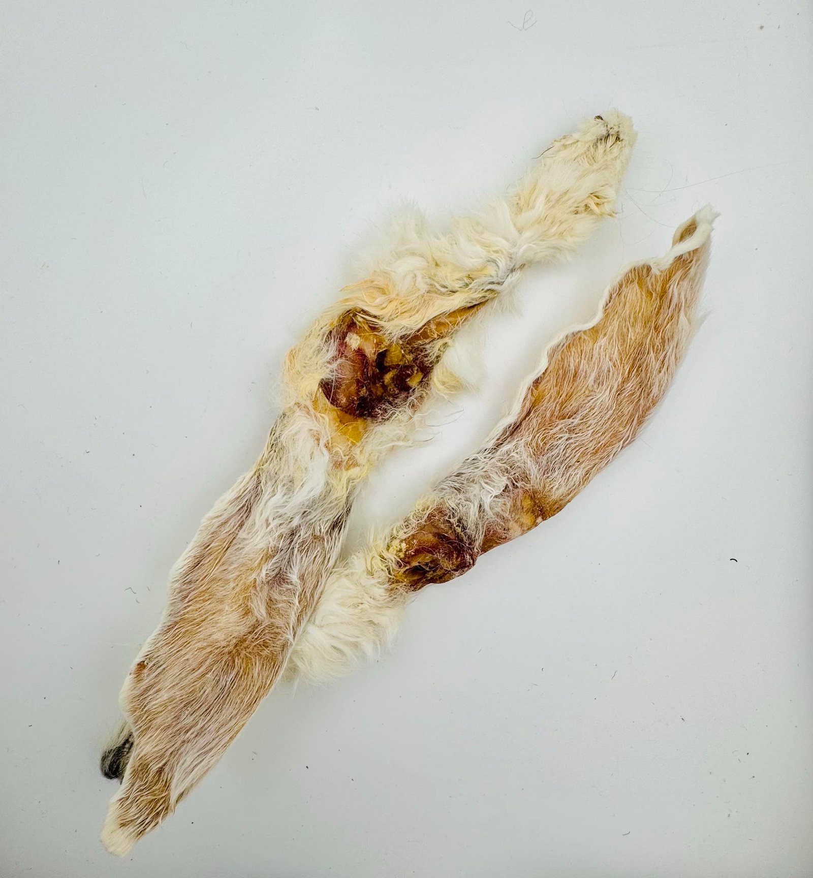 Dehydrated Rabbit Ears 1 Dehydrated rabbit ears