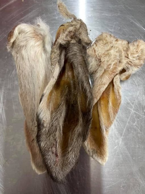 Lamb ears 100 g