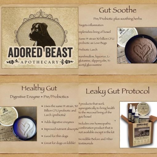 Leaky gut protocol 5 product kit - image 2