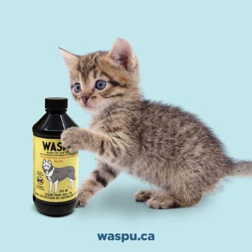 Waspu seal oil - image 4