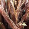 Beef Pizzle Chew Sticks - Image 2