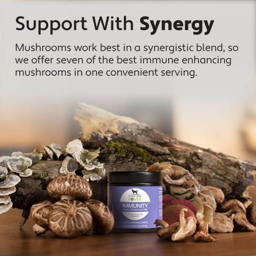 Seven 'shrooms - natural immune support - image 7