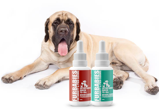 Anxiety and pain - 600 mg pet oral drops - over 75 lbs