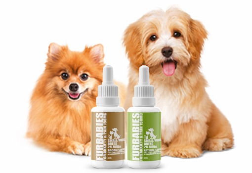 Anxiety and pain - 150 mg pet oral drops - 25-50 lbs