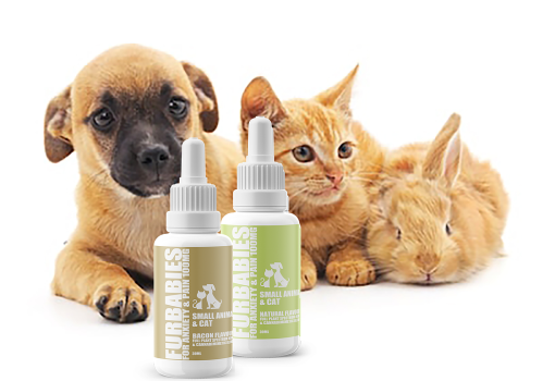 Anxiety and pain - 100 mg pet oral drops - up to 25 lbs