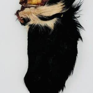 Dehydrated Furry Beef Ears