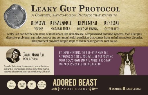 Leaky gut protocol 5 product kit - image 3