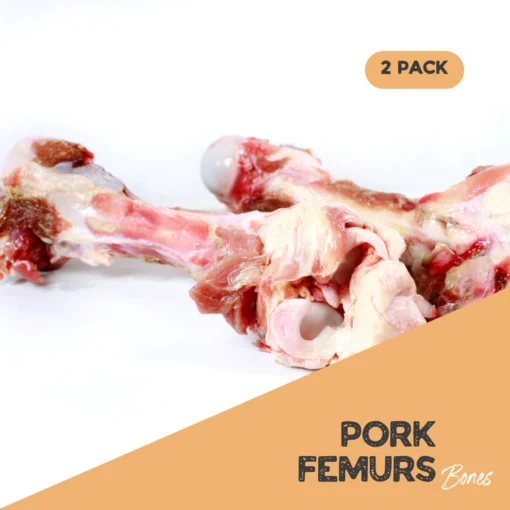 2 large pork femurs