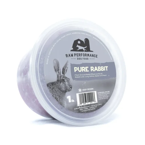 Rp pure rabbit