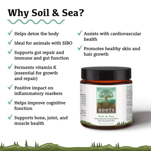 Soil & sea | primordial pre & probiotics - image 6