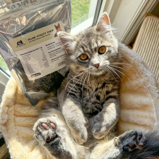 Feline Vitality Chew - Image 2