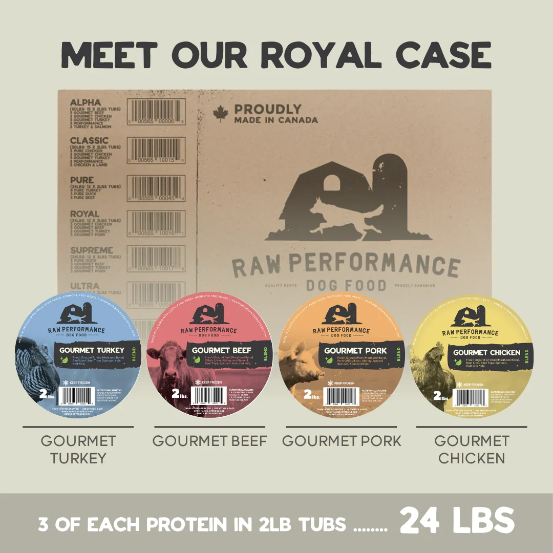 RP The Royal Case