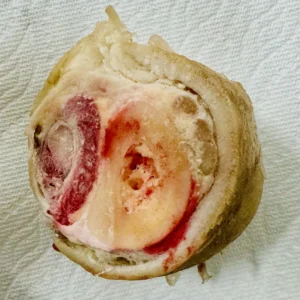 Test shot filter img 9323