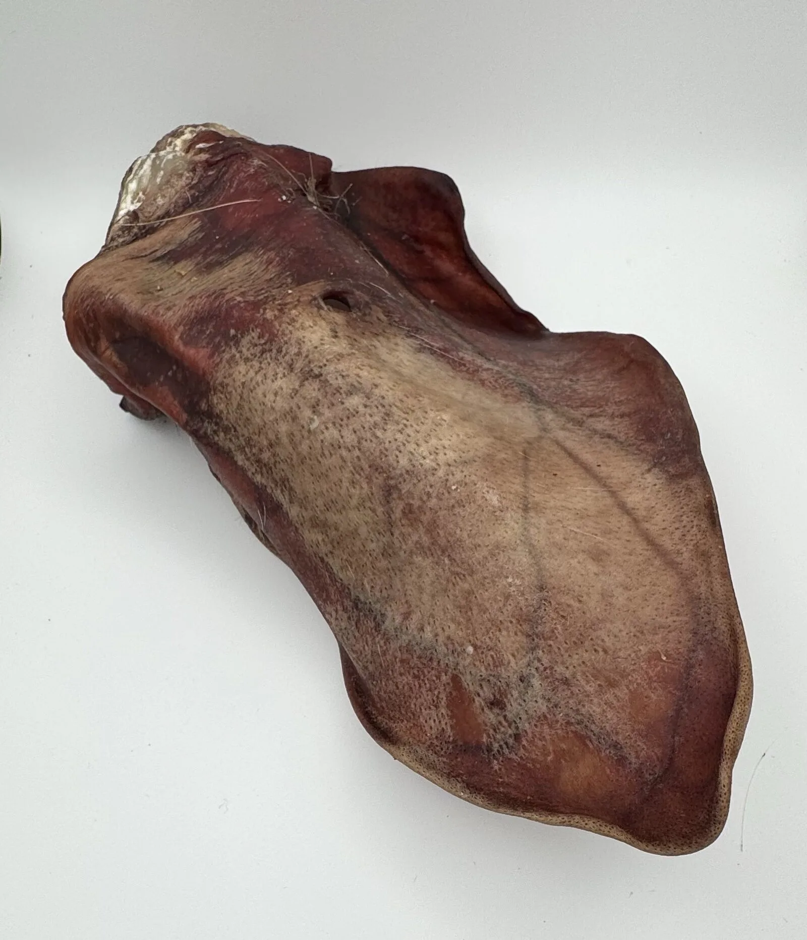 Ontario Dehydrated Pig Ears 2 Ontario dehydrated pig ears - image 2