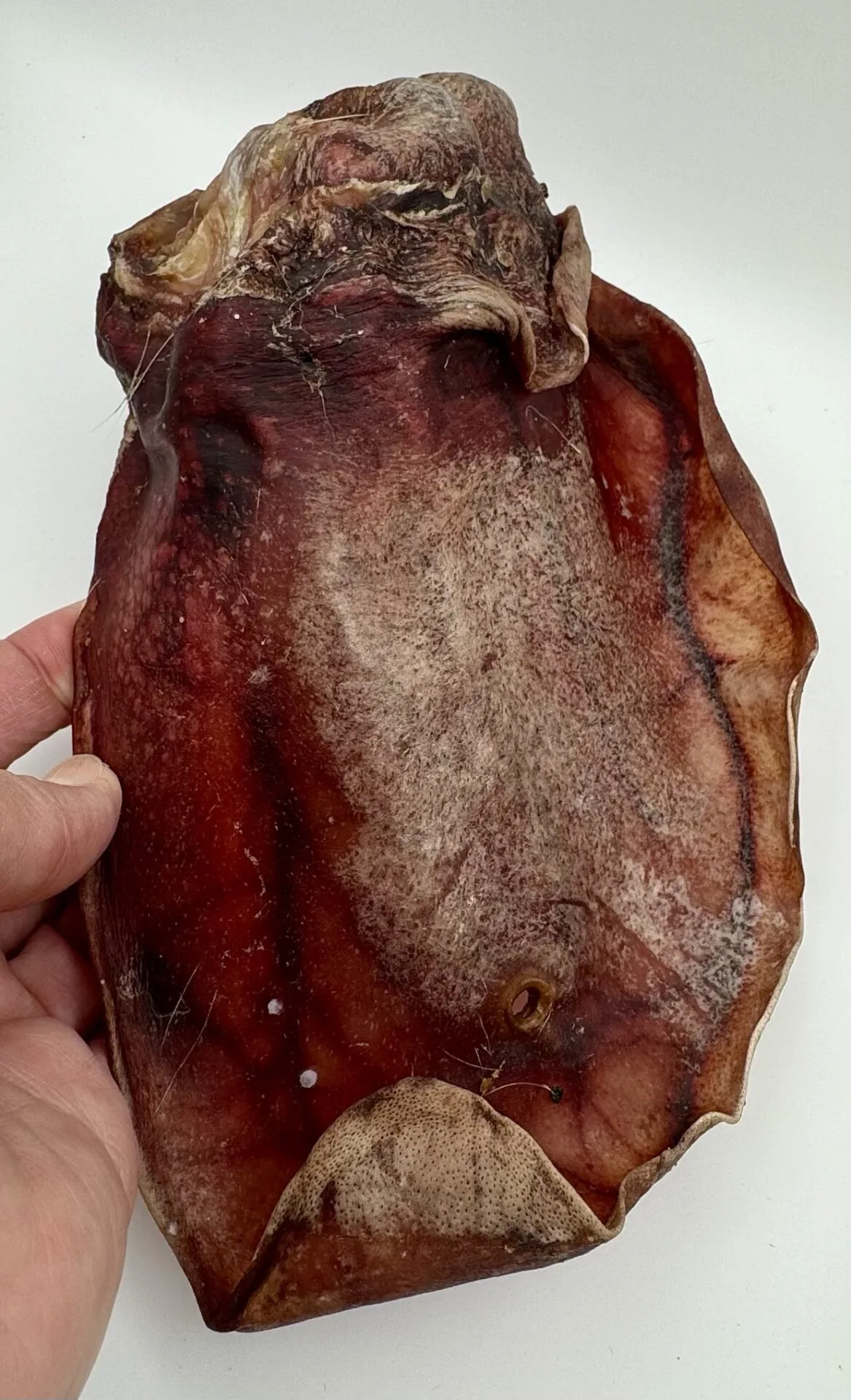 Ontario Dehydrated Pig Ears 3 Ontario dehydrated pig ears - image 3