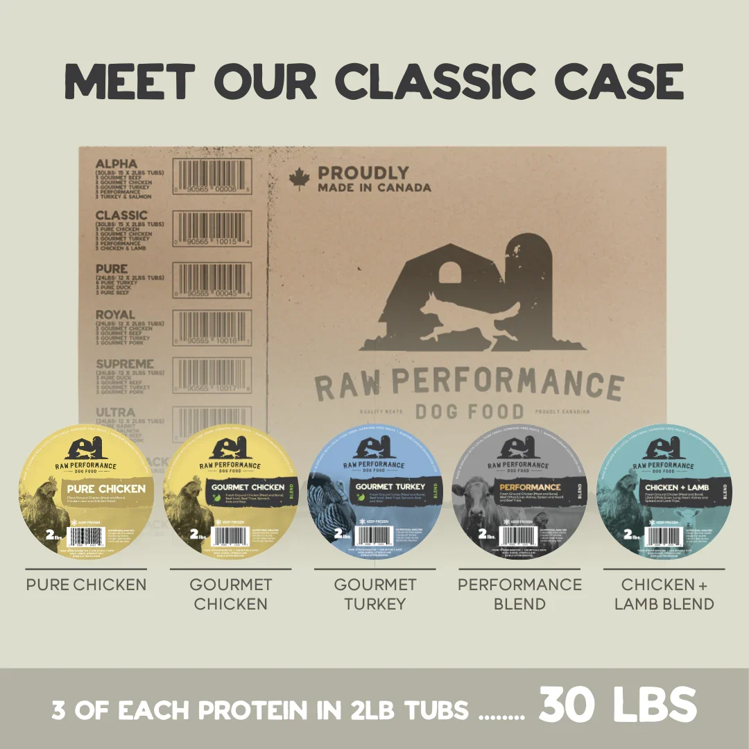 RP The Classic Case 1 Rp the classic case