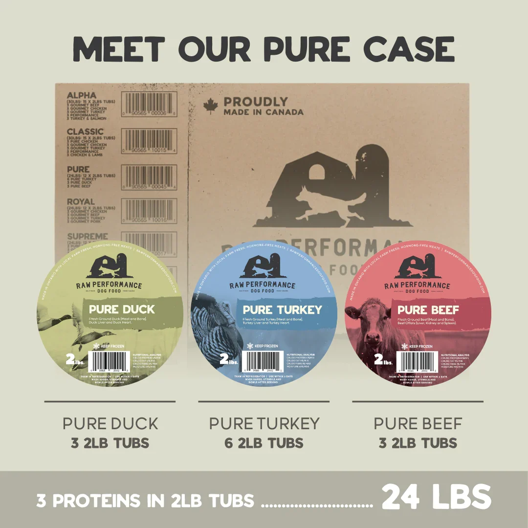 RP The Pure Case 1 Rp the pure case