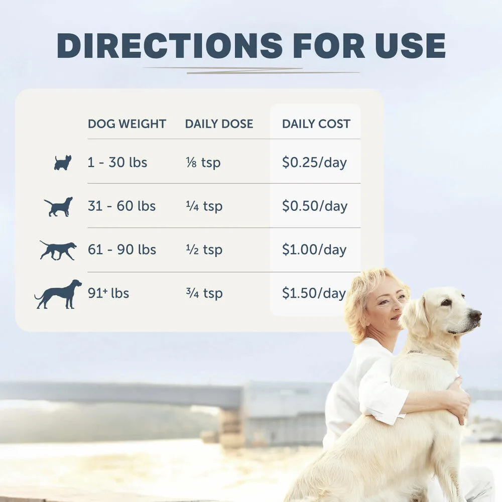 Bifido For Fido - Gut Health For Dogs 2 Bifido for fido - gut health for dogs - image 2
