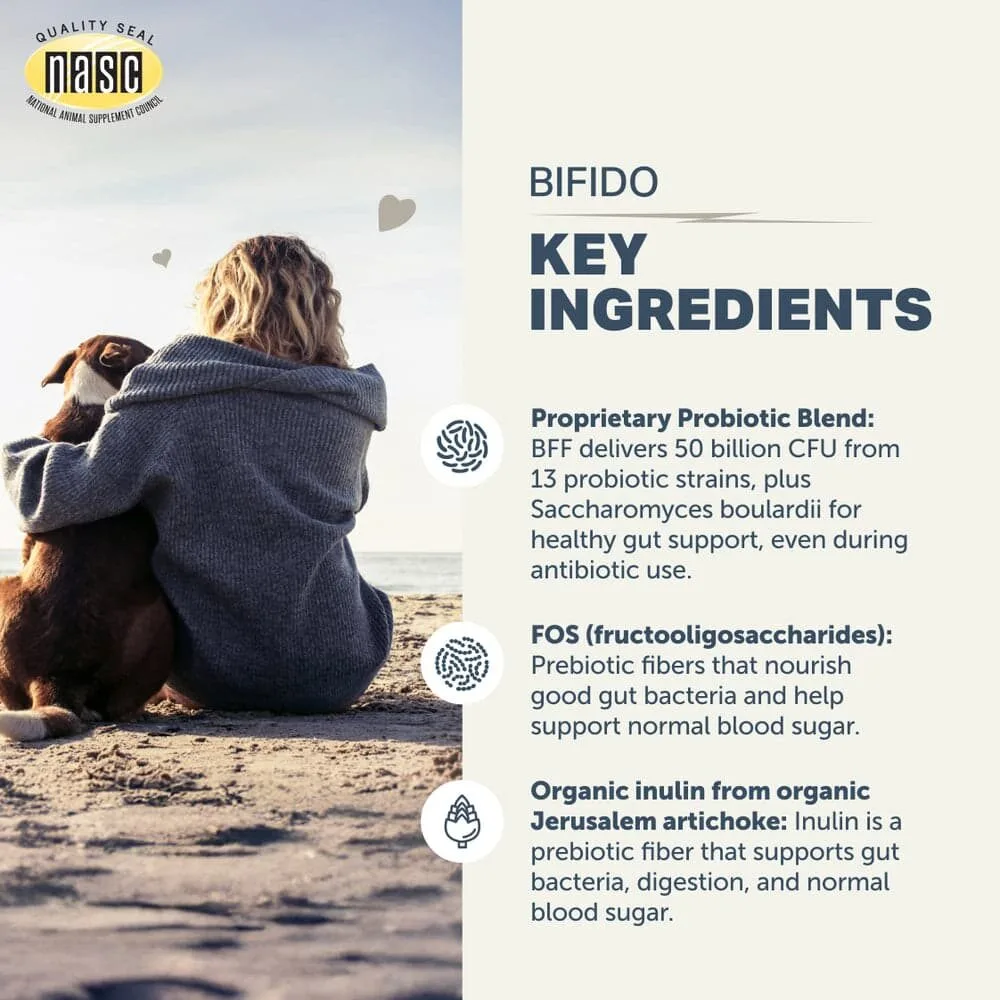 Bifido For Fido - Gut Health For Dogs 3 Bifido for fido - gut health for dogs - image 3