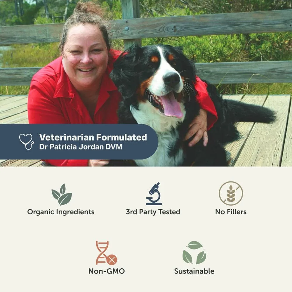 Bifido For Fido - Gut Health For Dogs 7 Bifido for fido - gut health for dogs - image 7