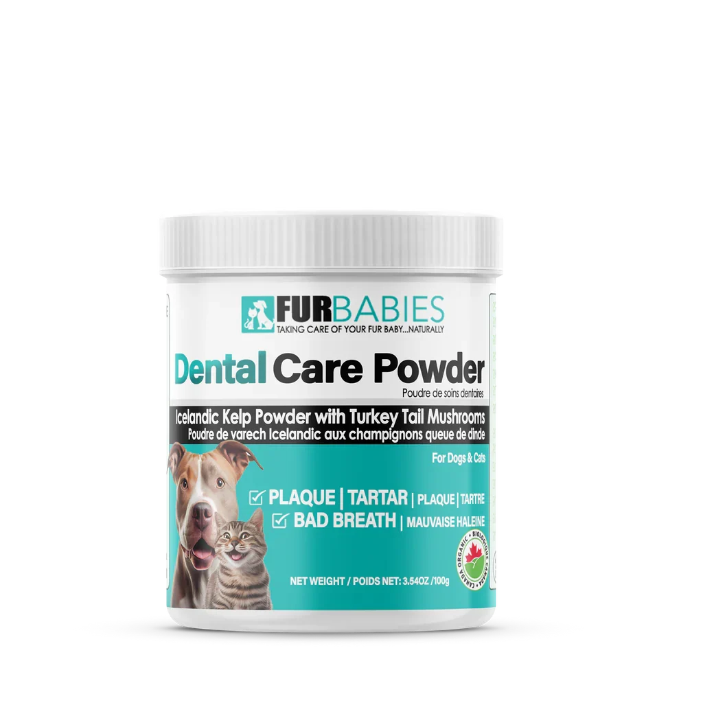 FurBabies Pet Dental Care Powder 1 Furbabies pet dental care powder