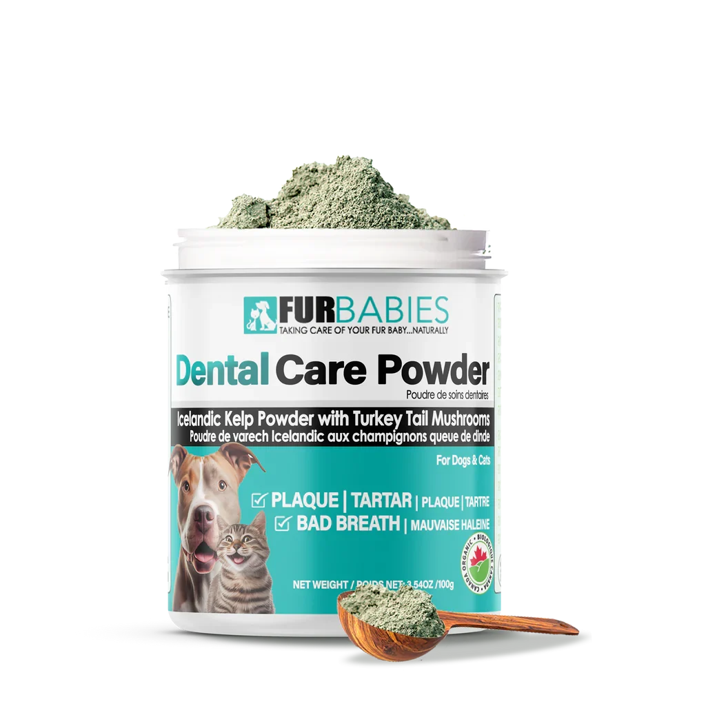 FurBabies Pet Dental Care Powder 5 Furbabies pet dental care powder - image 5
