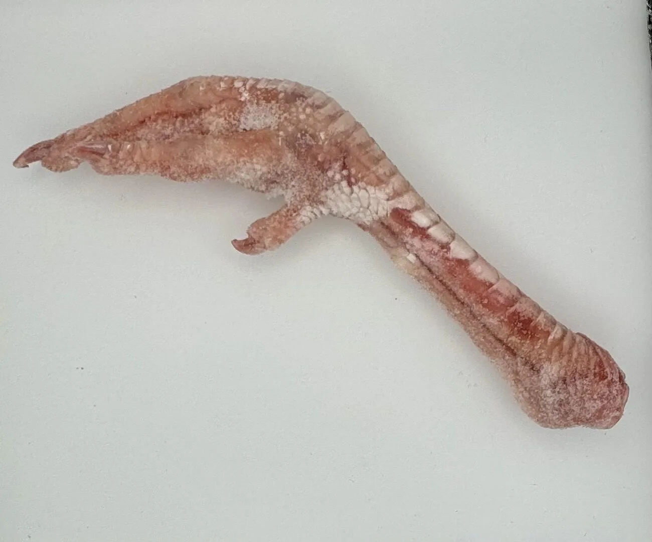 Raw Rooster Feet 1 Raw rooster feet