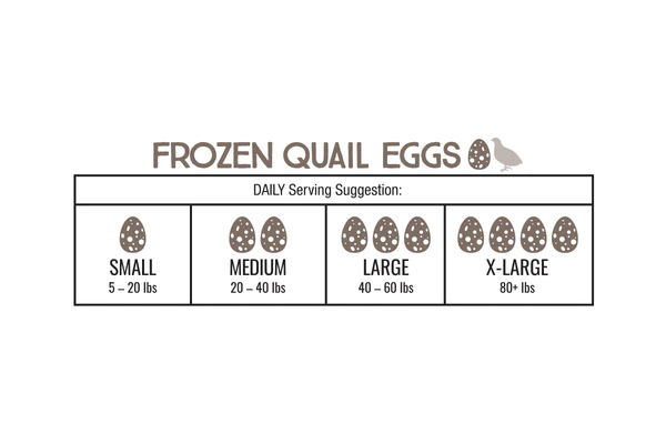 Quail Eggs - 18 Pack - Iron Will 2 Quail eggs - 18 pack - iron will - image 2
