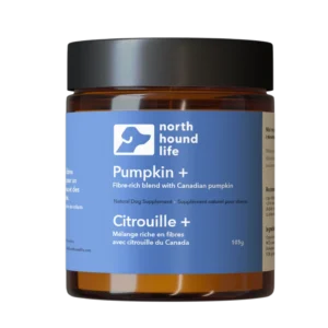 Pumpkin + Powder