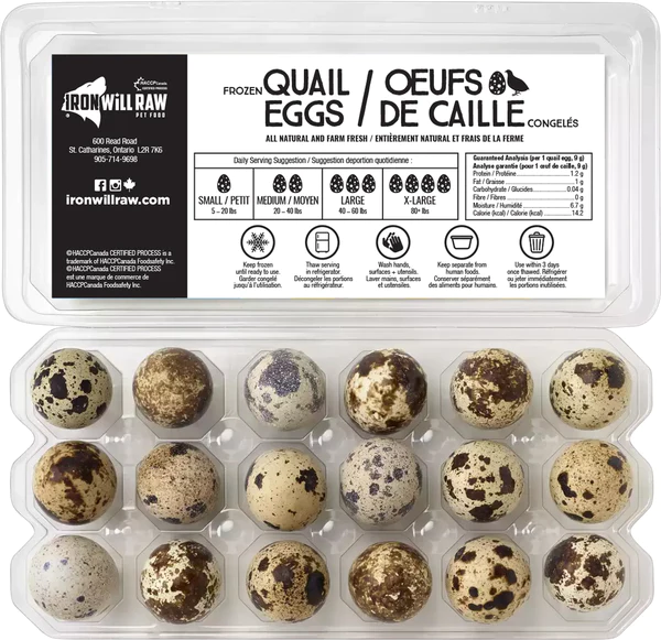 Quail Eggs - 18 Pack - Iron Will 5 Quail eggs - 18 pack - iron will - image 5