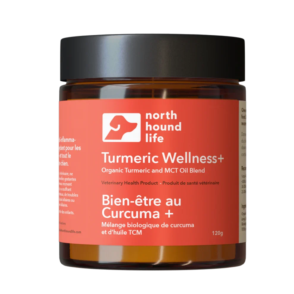 Turmeric Wellness+ 1 Turmeric wellness+