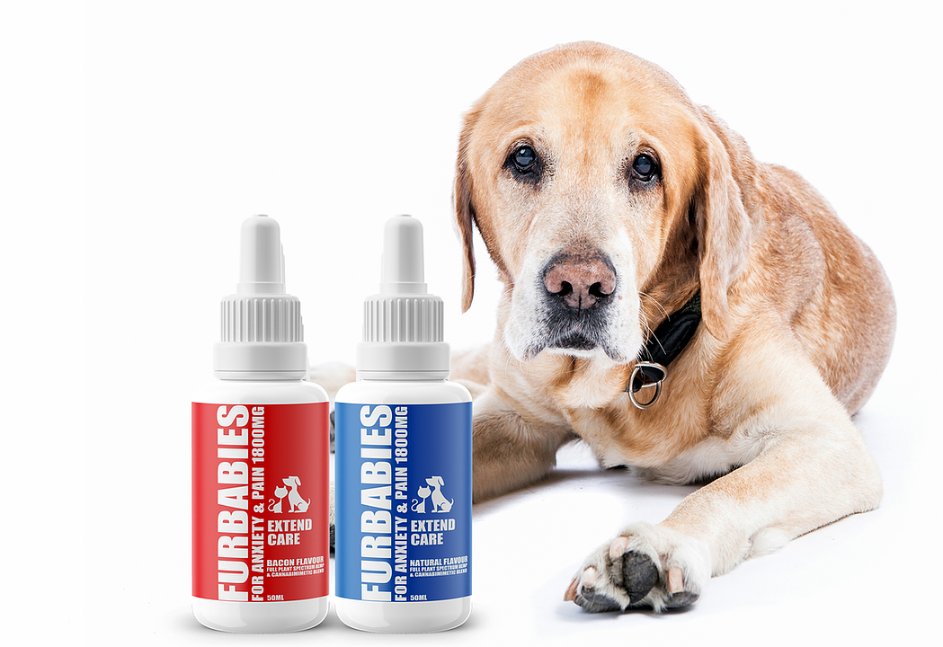 Furbabies Extend Care - Pet Oral Drops - 50mL - 1800 mg 1 Furbabies extend care - pet oral drops - 50ml - 1800 mg