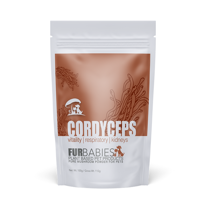 Furbabies CORDYCEPS Functional Mushrooms 100 G 6 Furbabies cordyceps functional mushrooms 100 g - image 6