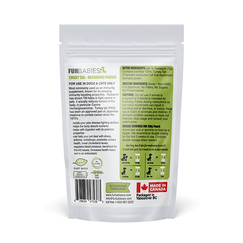 Furbabies TURKEY TAIL Functional Mushrooms 100 G 5 Furbabies turkey tail functional mushrooms 100 g - image 5