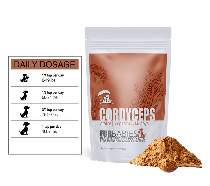 Furbabies CORDYCEPS Functional Mushrooms 100 G 5 Furbabies cordyceps functional mushrooms 100 g - image 5
