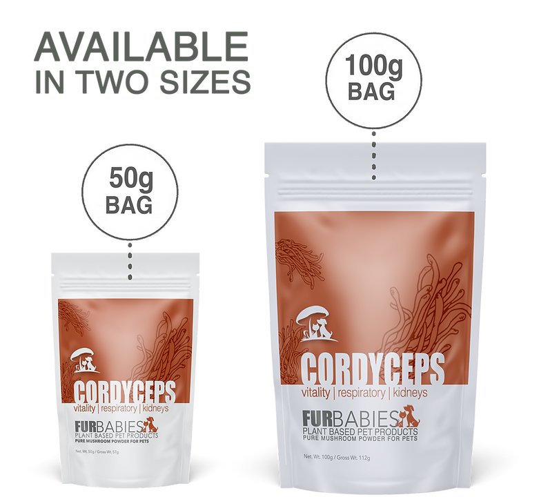 Furbabies CORDYCEPS Functional Mushrooms 100 G 4 Furbabies cordyceps functional mushrooms 100 g - image 4