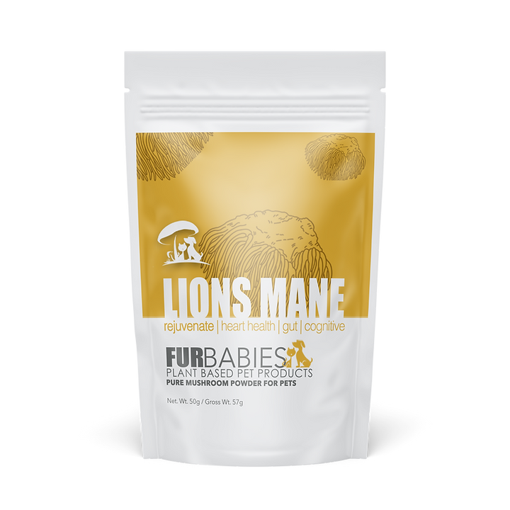 LIONS MANE Functional Mushrooms Furbabies 100 G 4 Lions mane functional mushrooms furbabies 100 g - image 4