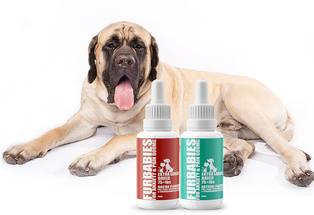 Furbabies Calming & Mobility Liquid Pet Supplement - Extra Large Dogs (75+ lbs) 1 Furbabies calming & mobility liquid pet supplement - extra large dogs (75+ lbs)