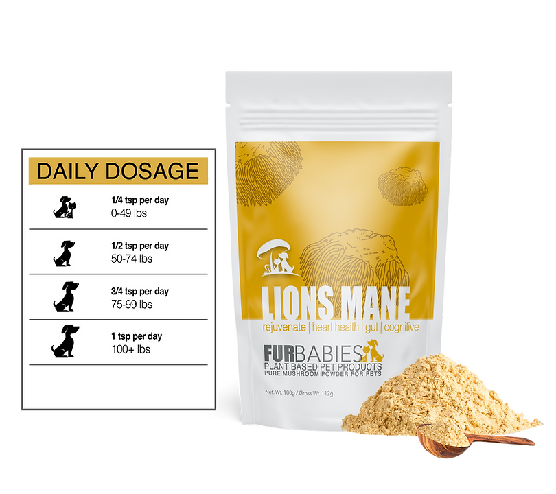 LIONS MANE Functional Mushrooms Furbabies 100 G 3 Lions mane functional mushrooms furbabies 100 g - image 3