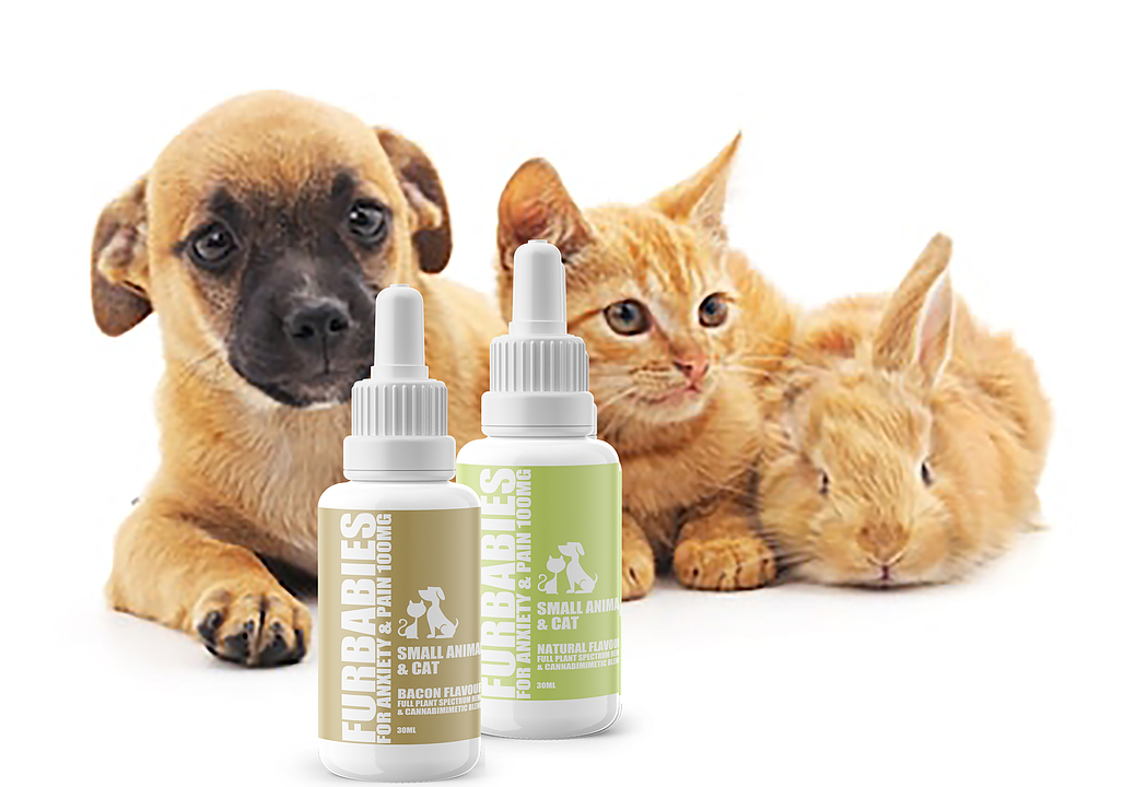 Furbabies Calming & Mobility Liquid Pet Supplement - Small Pets under 25 lbs 1 Furbabies calming & mobility liquid pet supplement - small pets under 25 lbs