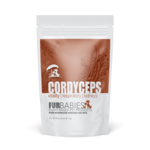 CORDYCEPS  Functional Mushrooms Furbabies 100 G