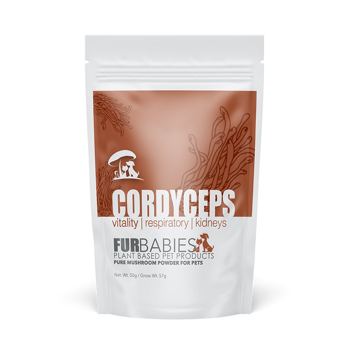Furbabies CORDYCEPS Functional Mushrooms 100 G 2 Furbabies cordyceps functional mushrooms 100 g - image 2