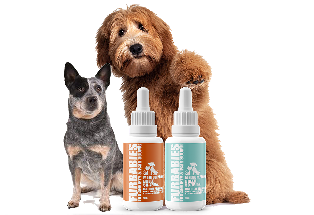 Furbabies Calming and Mobility Liquid Pet Supplement - Large Dogs (50-75 lbs) 1 Furbabies calming and mobility liquid pet supplement - large dogs (50-75 lbs)