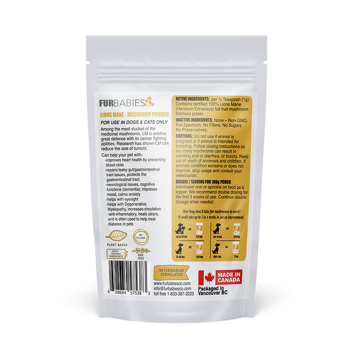 LIONS MANE Functional Mushrooms Furbabies 100 G 2 Lions mane functional mushrooms furbabies 100 g - image 2