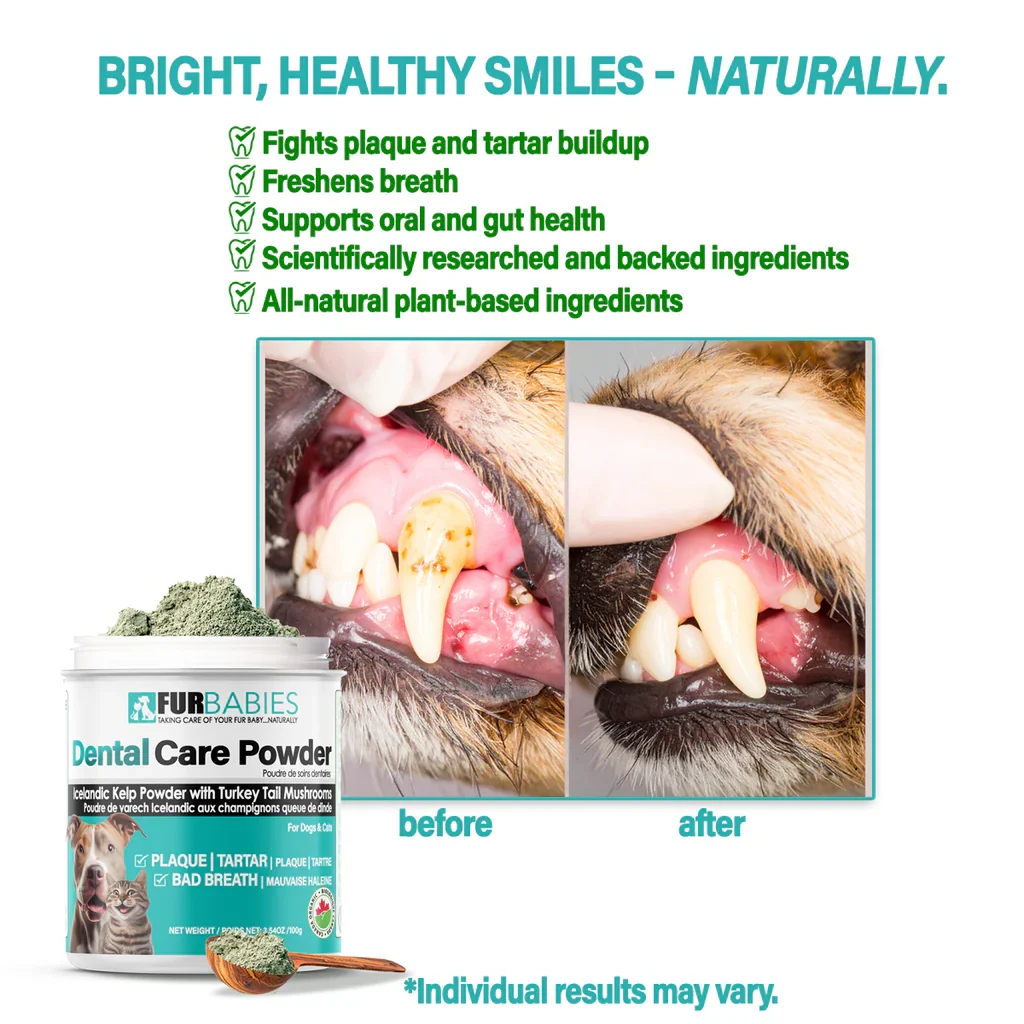 FurBabies Pet Dental Care Powder 7 Furbabies pet dental care powder - image 7